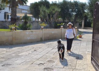 Masseria dei Monaci: eden sul mare Masseria dei Monaci