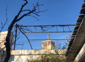 Cortile Fondo Noce: ritorno alle origini Fondo Noce
