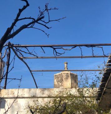 Cortile Fondo Noce: ritorno alle origini Fondo Noce