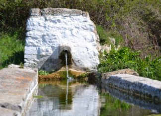 Rocchetta Sant’Antonio to live Sant’Antonio