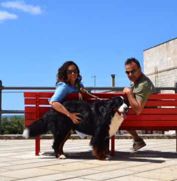 Noi e il nostro blog su Easy Travel Hosting Easy Travel Hosting