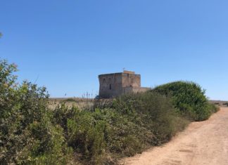 Carovigno to live Carovigno