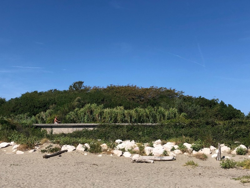 lido