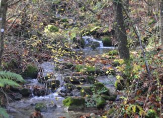 Il lato romagnolo dell’Appennino Appennino