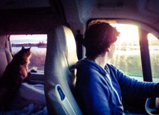 Wish, in viaggio con una gatta wish