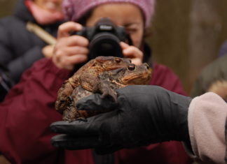 La natura dalla finestra con Cooperativa Serapia La natura dalla finestra