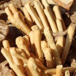 breadsticks-752931_960_720
