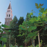 san-francesco-della-vigna
