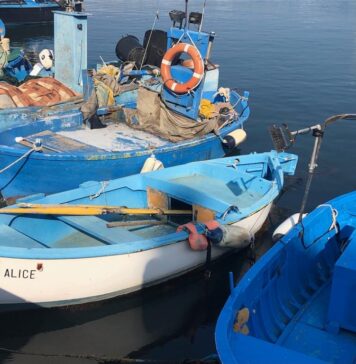 Bisceglie da vivere Bisceglie da vivere