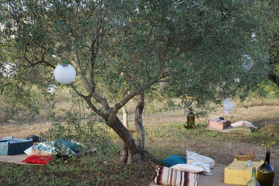 picnic