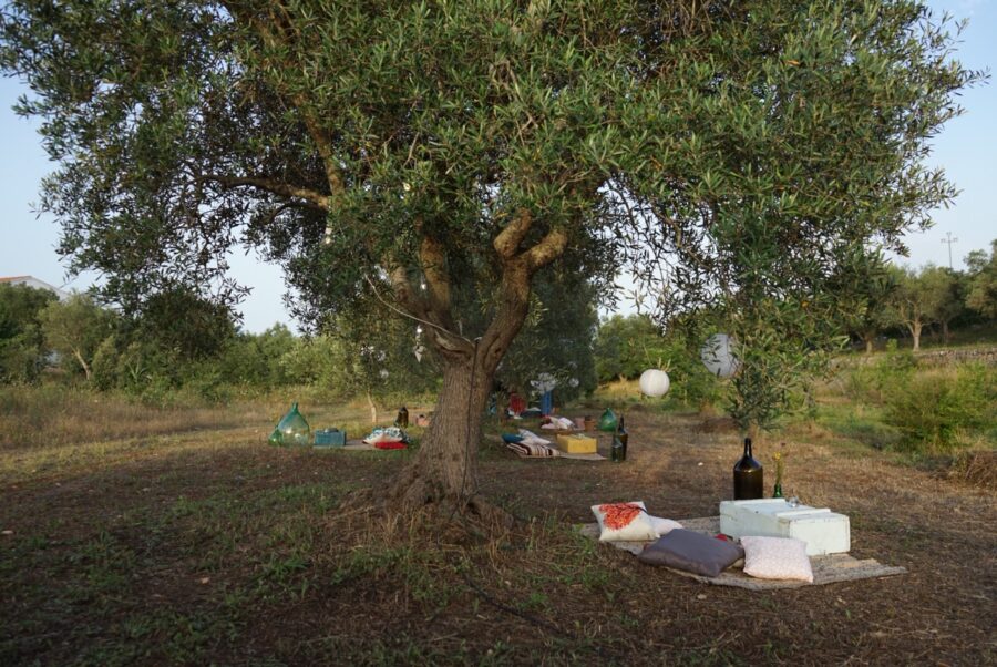 picnic