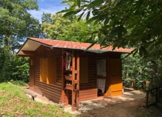 Tenuta Bocchineri: lo chalet nel bosco Tenuta Bocchineri