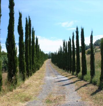 Toscana: tre itinerari per scoprirne i gioielli Toscana