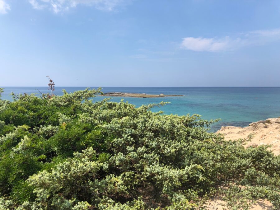 spiagge