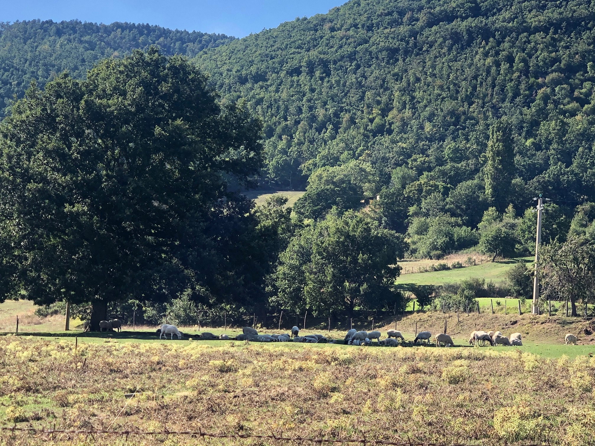 Umbria