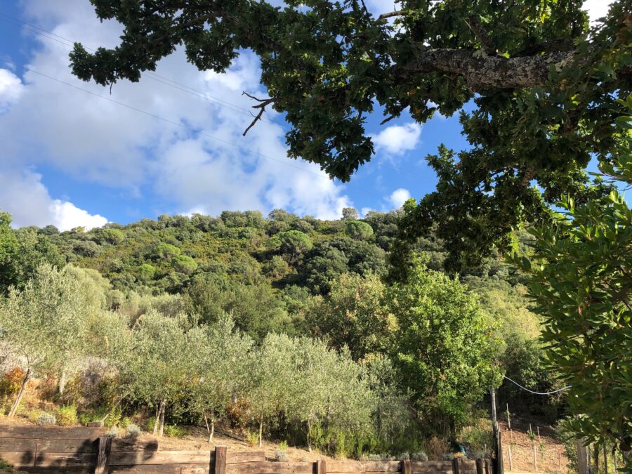 Fattoria Albamarina