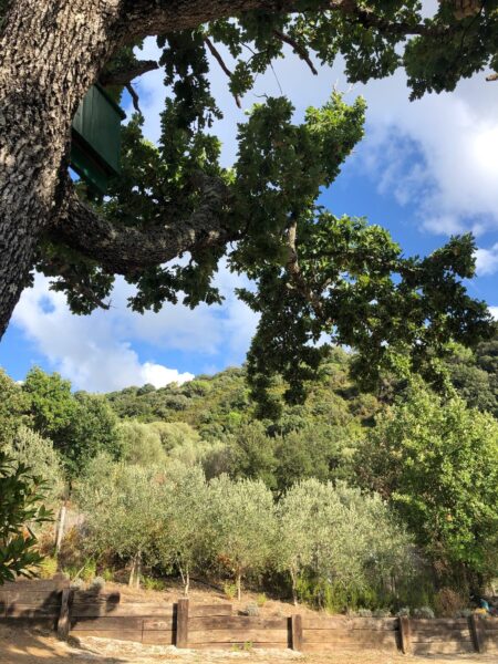 Fattoria Albamarina