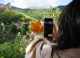 Fall foliage al Sud tra Puglia e dintorni foliage