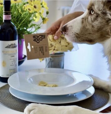 PETSempre, cibo (e altro) su misura per i 4 zampe PETSempre