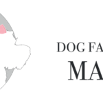 logo-dfb-new-2020-2021