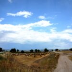 Circumarpiccolo, Taranto – Foto Max Perrini (1)