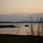 DSC06307