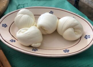 Una giornata in masseria tra stalle e mozzarelle