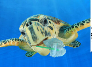 Condominio plastic free per un futuro più sostenibile plastic free