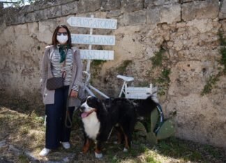 Musei pet-friendly in Italia: tra le opere d’arte col cane Musei