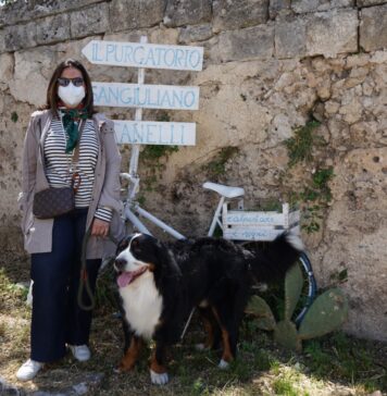 Musei pet-friendly in Italia: tra le opere d’arte col cane Musei