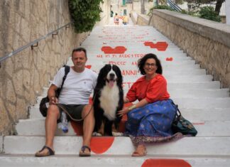 Vieste bella e possibile anche con i 4 zampe Vieste