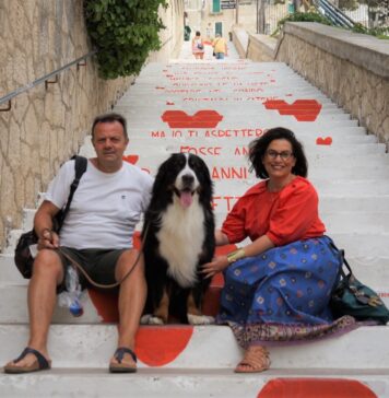 Vieste bella e possibile anche con i 4 zampe Vieste