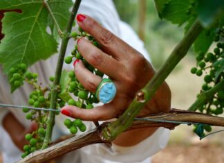 Cantine Merinum a Vieste: il sogno di Cinzia e Luigi