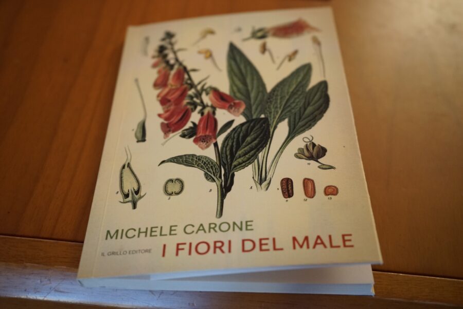 Miki Carone