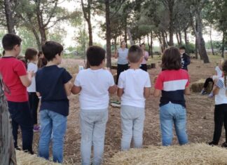 A scuola nel bosco. Dove? A Mottola! bosco
