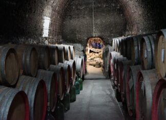 Grottino di Roccanova: il vino nella roccia Grottino di Roccanova