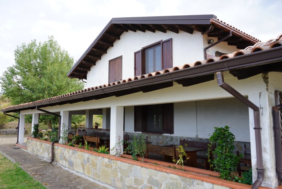 Lucania