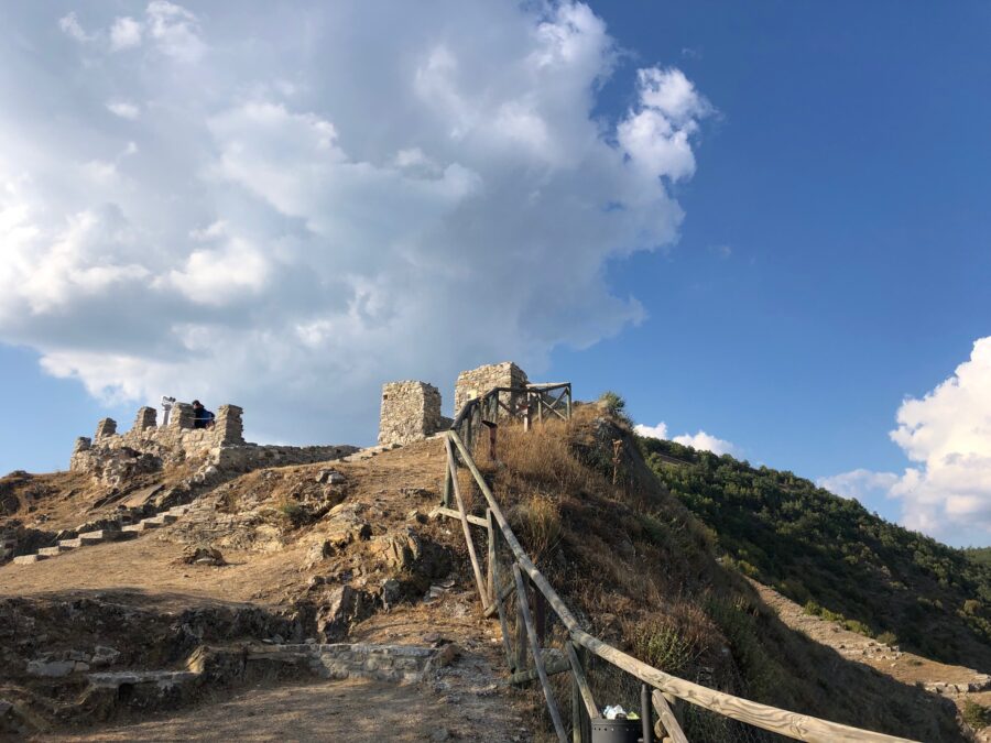 Lucania