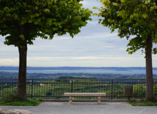 Sulle strade della Valpolicella oltre il vino strade