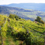 Valpolicella