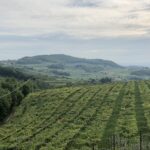 Valpolicella