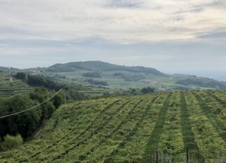 Valpolicella: il fascino di un viaggio tra profumi e sapori Valpolicella