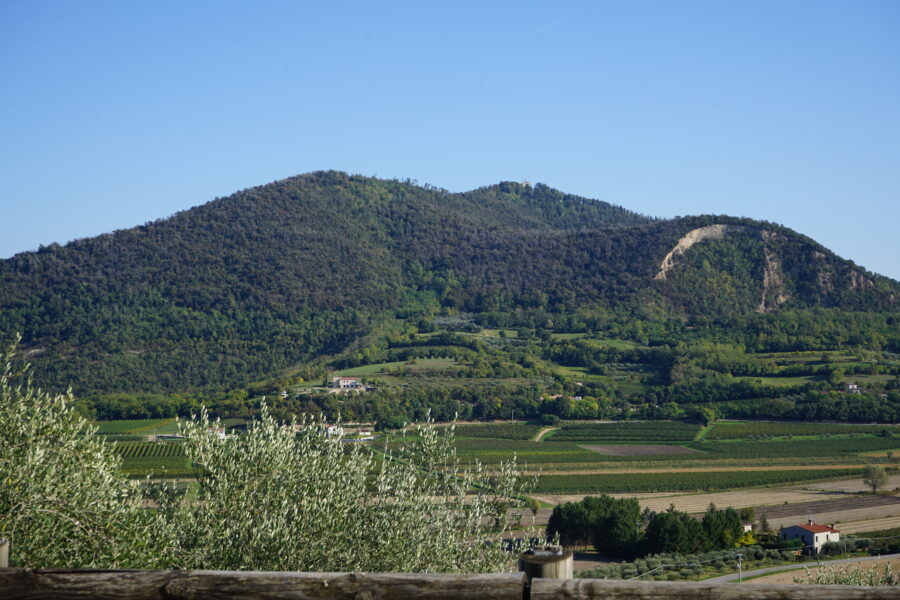 Terra Felice