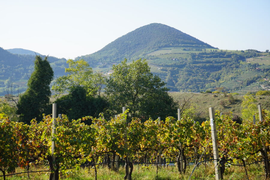 Terra Felice