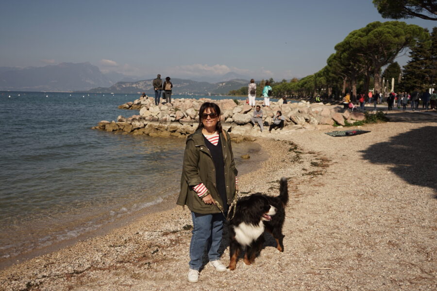 Lazise