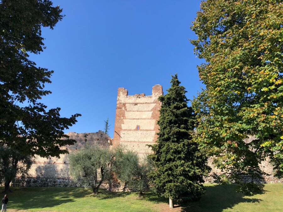 Lazise