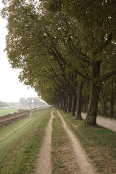 Ferrara