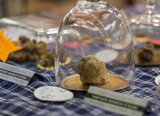Il Piemonte a tavola e il gran bollito misto Piemonte a tavola