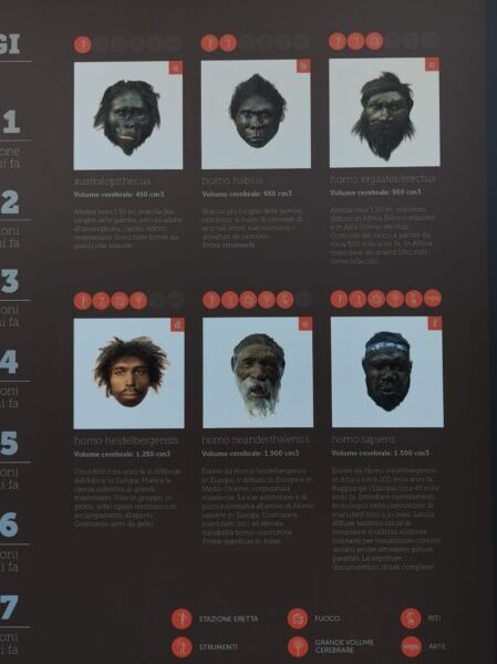Museo della Preistoria