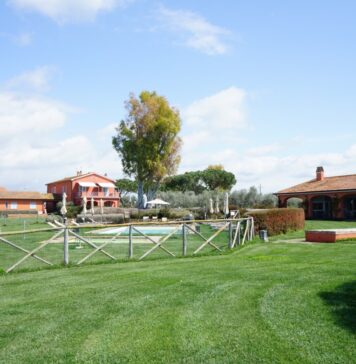 Piani della Marina, a spasso con gli alpaca Piani della Marina